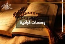 الشيخ الدكتور محمد أبو الخير شكري