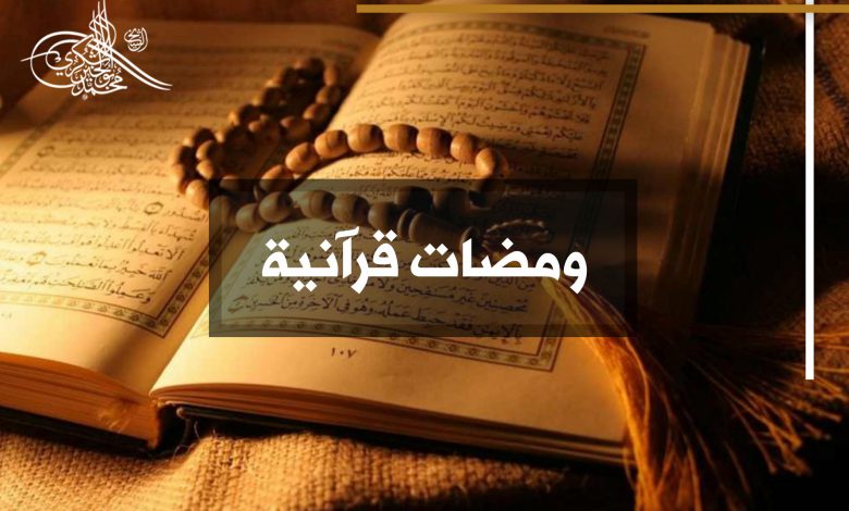 الشيخ الدكتور محمد أبو الخير شكري